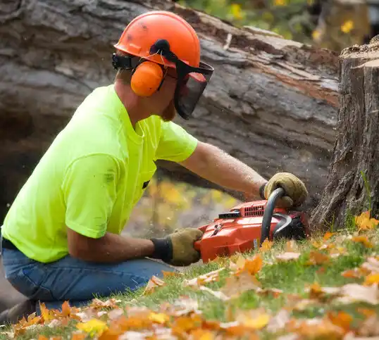 tree services Ville Platte